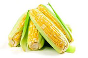 Healthy Corn