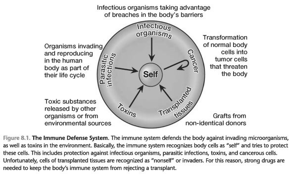 Introduction to the immune system powerpoint